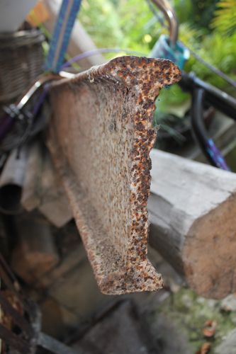 BAU.DE / BAU-Forum: 2. Bild zu Antwort "Holzbalkendecke verstärken: Stahlträger-Optionen (Eisenbahnschiene?)" auf die Frage "Stahlträger zur Verstärkung der Holzbalkendecke im Bad: Dimensionierung, Auflager & Gewicht?" im BAU-Forum "Architekt / Architektur" BAU.DE / BAU-Forum: 2. Bild zu Antwort "Holzbalkendecke verstärken: Stahlträger-Optionen (Eisenbahnschiene?)" auf die Frage "Stahlträger zur Verstärkung der Holzbalkendecke im Bad: Dimensionierung, Auflager & Gewicht?" im BAU-Forum "Architekt / Architektur"