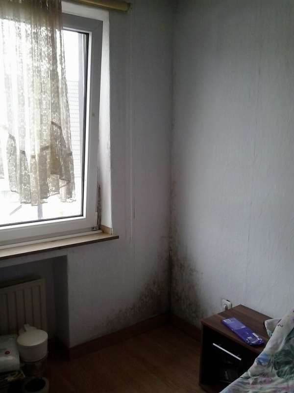 BAU.DE / BAU-Forum: 1. Bild zu Frage "Feuchtigkeitsschaden Außenwand: Ursachen, Schimmelbildung & Sanierung bei Fallrohr?" im BAU-Forum "Außenwände und Fassaden" BAU.DE / BAU-Forum: 1. Bild zu Frage "Feuchtigkeitsschaden Außenwand: Ursachen, Schimmelbildung & Sanierung bei Fallrohr?" im BAU-Forum "Außenwände und Fassaden"