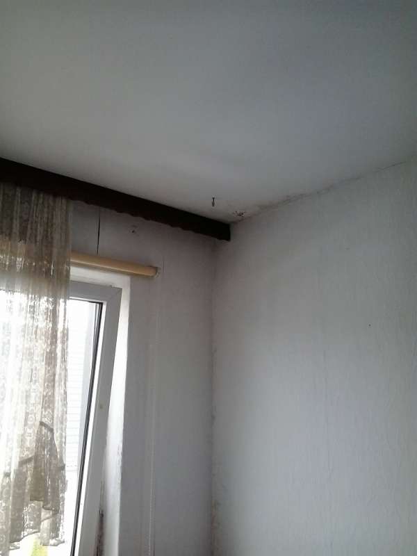 BAU.DE / BAU-Forum: 2. Bild zu Frage "Feuchtigkeitsschaden Außenwand: Ursachen, Schimmelbildung & Sanierung bei Fallrohr?" im BAU-Forum "Außenwände und Fassaden" BAU.DE / BAU-Forum: 2. Bild zu Frage "Feuchtigkeitsschaden Außenwand: Ursachen, Schimmelbildung & Sanierung bei Fallrohr?" im BAU-Forum "Außenwände und Fassaden"