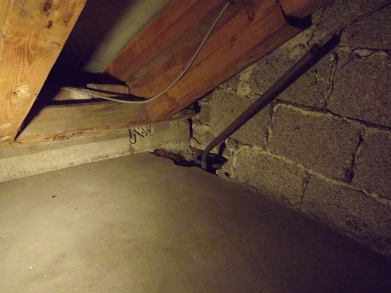 BAU.DE / BAU-Forum: 5. Bild zu Frage "Feuchtigkeitsschaden Außenwand: Ursachen, Schimmelbildung & Sanierung bei Fallrohr?" im BAU-Forum "Außenwände und Fassaden" BAU.DE / BAU-Forum: 5. Bild zu Frage "Feuchtigkeitsschaden Außenwand: Ursachen, Schimmelbildung & Sanierung bei Fallrohr?" im BAU-Forum "Außenwände und Fassaden"