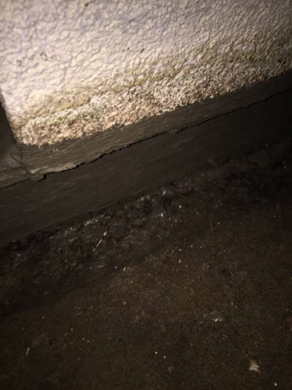 BAU.DE / BAU-Forum: 3. Bild zu Frage "Terrassenabdichtung am Sockel: Dichtschlämme, Kiesschicht & Platten – was ist zu beachten?" im BAU-Forum "Außenwände und Fassaden" BAU.DE / BAU-Forum: 3. Bild zu Frage "Terrassenabdichtung am Sockel: Dichtschlämme, Kiesschicht & Platten – was ist zu beachten?" im BAU-Forum "Außenwände und Fassaden"