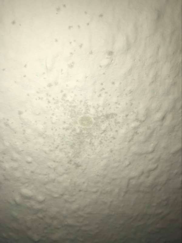 BAU.DE / BAU-Forum: 1. Bild zu Frage "Schimmelbefall erkennen: Ursachen, Gesundheitsrisiken & korrekte Entfernung?" im BAU-Forum "Außenwände und Fassaden" BAU.DE / BAU-Forum: 1. Bild zu Frage "Schimmelbefall erkennen: Ursachen, Gesundheitsrisiken & korrekte Entfernung?" im BAU-Forum "Außenwände und Fassaden"