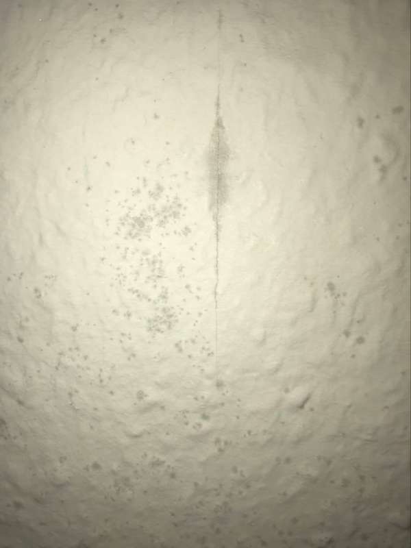 BAU.DE / BAU-Forum: 2. Bild zu Frage "Schimmelbefall erkennen: Ursachen, Gesundheitsrisiken & korrekte Entfernung?" im BAU-Forum "Außenwände und Fassaden" BAU.DE / BAU-Forum: 2. Bild zu Frage "Schimmelbefall erkennen: Ursachen, Gesundheitsrisiken & korrekte Entfernung?" im BAU-Forum "Außenwände und Fassaden"