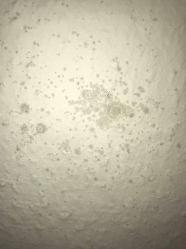 BAU.DE / BAU-Forum: 4. Bild zu Frage "Schimmelbefall erkennen: Ursachen, Gesundheitsrisiken & korrekte Entfernung?" im BAU-Forum "Außenwände und Fassaden" BAU.DE / BAU-Forum: 4. Bild zu Frage "Schimmelbefall erkennen: Ursachen, Gesundheitsrisiken & korrekte Entfernung?" im BAU-Forum "Außenwände und Fassaden"