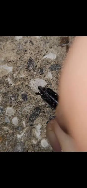 BAU.DE / BAU-Forum: 1. Bild zu Antwort "EPS-Beton: Analyse bestätigt EPS-Beimischung im Altbau" auf die Frage "EPS-Beton U-Wert berechnen: Dämmwirkung, Taupunkt & Kosten bei unbekannter Menge?" im BAU-Forum "Baustoffe" BAU.DE / BAU-Forum: 1. Bild zu Antwort "EPS-Beton: Analyse bestätigt EPS-Beimischung im Altbau" auf die Frage "EPS-Beton U-Wert berechnen: Dämmwirkung, Taupunkt & Kosten bei unbekannter Menge?" im BAU-Forum "Baustoffe"