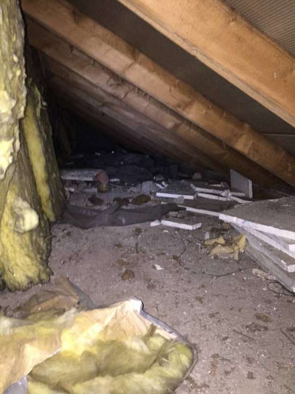 BAU.DE / BAU-Forum: 4. Bild zu Frage "Dachausbau Modernisierung: Probleme mit Dämmung, Feuchtigkeit & Kosten in Kaiserslautern?" im BAU-Forum "Dach" BAU.DE / BAU-Forum: 4. Bild zu Frage "Dachausbau Modernisierung: Probleme mit Dämmung, Feuchtigkeit & Kosten in Kaiserslautern?" im BAU-Forum "Dach"