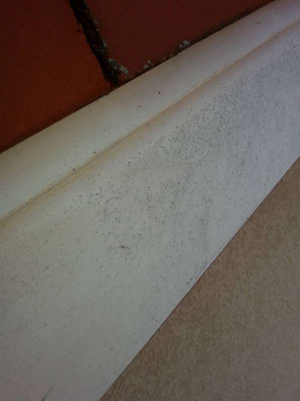 BAU.DE / BAU-Forum: 2. Bild zu Frage "Schimmel auf Dachbalken erkennen & entfernen: Ursachen, Risiken & Sanierung?" im BAU-Forum "Dach" BAU.DE / BAU-Forum: 2. Bild zu Frage "Schimmel auf Dachbalken erkennen & entfernen: Ursachen, Risiken & Sanierung?" im BAU-Forum "Dach"