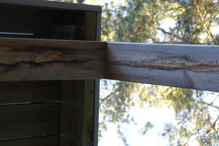 BAU.DE / BAU-Forum: 1. Bild zu Frage "Schimmelflecken am Schwedenhaus: Ursachen, Risiken & Sanierung von Holzbauteilen?" im BAU-Forum "Holzschutz, Holzschäden, Holzsanierung" BAU.DE / BAU-Forum: 1. Bild zu Frage "Schimmelflecken am Schwedenhaus: Ursachen, Risiken & Sanierung von Holzbauteilen?" im BAU-Forum "Holzschutz, Holzschäden, Holzsanierung"