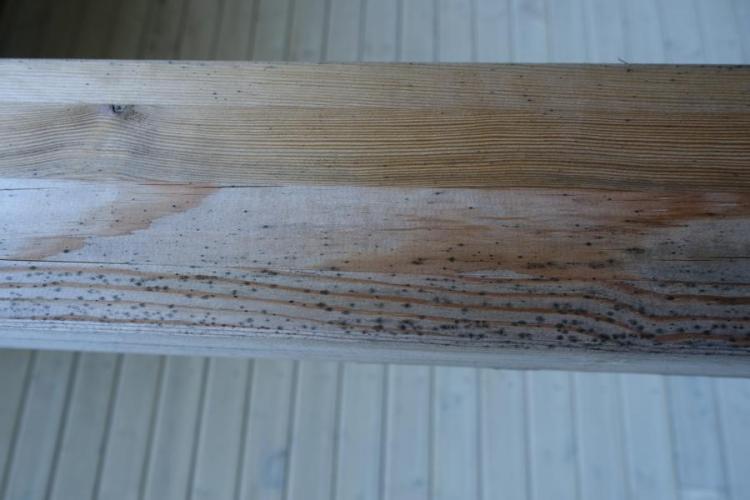 BAU.DE / BAU-Forum: 4. Bild zu Frage "Schimmelflecken am Schwedenhaus: Ursachen, Risiken & Sanierung von Holzbauteilen?" im BAU-Forum "Holzschutz, Holzschäden, Holzsanierung" BAU.DE / BAU-Forum: 4. Bild zu Frage "Schimmelflecken am Schwedenhaus: Ursachen, Risiken & Sanierung von Holzbauteilen?" im BAU-Forum "Holzschutz, Holzschäden, Holzsanierung"