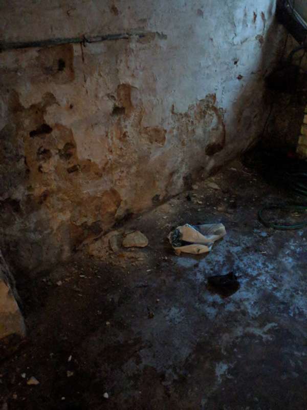 BAU.DE / BAU-Forum: 1. Bild zu Frage "Feuchter Keller im Altbau (1925): Ursachen, Sanierung & Kosten für Drainage?" im BAU-Forum "Keller" BAU.DE / BAU-Forum: 1. Bild zu Frage "Feuchter Keller im Altbau (1925): Ursachen, Sanierung & Kosten für Drainage?" im BAU-Forum "Keller"