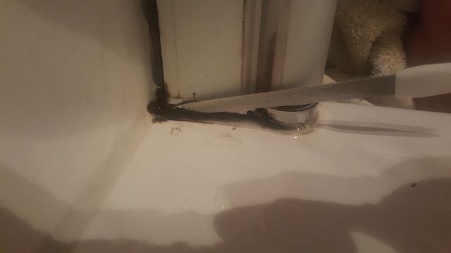 BAU.DE / BAU-Forum: 1. Bild zu Frage "Bad-Silikon brüchig durch schlechte Lüftung? Ursachen, Folgen & Sanierung" im BAU-Forum "Sanitär, Bad, Dusche, WC" BAU.DE / BAU-Forum: 1. Bild zu Frage "Bad-Silikon brüchig durch schlechte Lüftung? Ursachen, Folgen & Sanierung" im BAU-Forum "Sanitär, Bad, Dusche, WC"