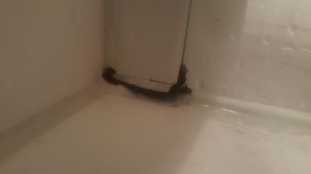 BAU.DE / BAU-Forum: 3. Bild zu Frage "Bad-Silikon brüchig durch schlechte Lüftung? Ursachen, Folgen & Sanierung" im BAU-Forum "Sanitär, Bad, Dusche, WC" BAU.DE / BAU-Forum: 3. Bild zu Frage "Bad-Silikon brüchig durch schlechte Lüftung? Ursachen, Folgen & Sanierung" im BAU-Forum "Sanitär, Bad, Dusche, WC"