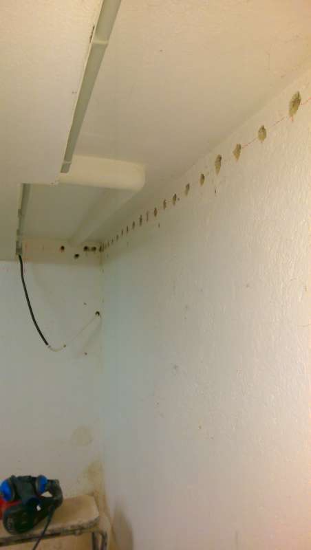 BAU.DE / BAU-Forum: 1. Bild zu Frage "Horizontalsperre im Keller: Kosten, Verfahren & Alternativen bei aufsteigender Feuchte?" im BAU-Forum "Modernisierung / Sanierung / Bauschäden" BAU.DE / BAU-Forum: 1. Bild zu Frage "Horizontalsperre im Keller: Kosten, Verfahren & Alternativen bei aufsteigender Feuchte?" im BAU-Forum "Modernisierung / Sanierung / Bauschäden"