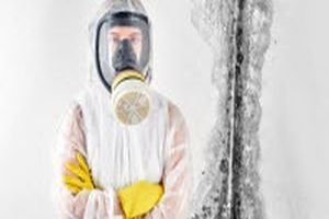 Feuchte Wände: Ursachen, Folgen und Maßnahmen - Bild: Feuchte Wände: Ursachen, Folgen und Maßnahmen - Bild: