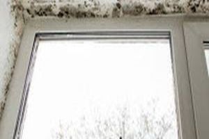 Schimmel am Fenster dauerhaft entfernen - Bild: Schimmel am Fenster dauerhaft entfernen - Bild: