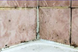 Schimmel im Bad: Vorbeugen und entfernen! - Bild: Schimmel im Bad: Vorbeugen und entfernen! - Bild: