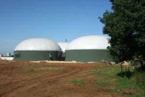 Biomasse bezeichnet alle organischen Materialien, die als erneuerbare Energiequelle genutzt werden können. Biomasse bezeichnet alle organischen Materialien, die als erneuerbare Energiequelle genutzt werden können.