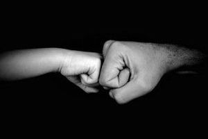 Hausbaumarkt 2023: Wie entwickeln sich Preise, Trends und Co.? - Bild: Victoria / Pixabay Hausbaumarkt 2023: Wie entwickeln sich Preise, Trends und Co.? - Bild: Victoria / Pixabay