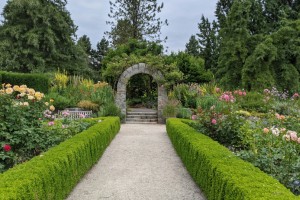 Gartengestaltung leicht gemacht - so sorgen Sie für eine angenehme Atmosphäre - Bild: Laurent Beique / Unsplash Gartengestaltung leicht gemacht - so sorgen Sie für eine angenehme Atmosphäre - Bild: Laurent Beique / Unsplash