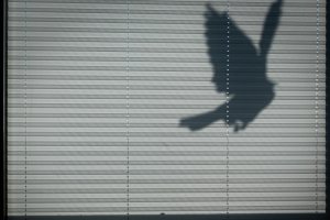 Materialkunde für Profis: Hochwertige Stoffe und Technologien im Plissee-Markt - Bild: Mavi Atlas auf Unsplash Materialkunde für Profis: Hochwertige Stoffe und Technologien im Plissee-Markt - Bild: Mavi Atlas auf Unsplash