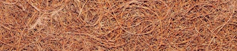 Ein Gartenhaus als Bereicherung für das Grundstück Ein Gartenhaus als Bereicherung für das Grundstück