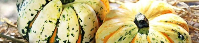 Einrichtungsideen: Einen großen Raum geschickt aufteilen Einrichtungsideen: Einen großen Raum geschickt aufteilen