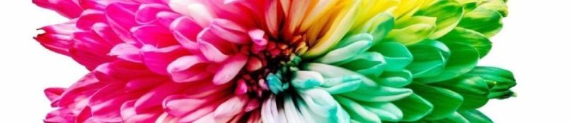 Maler und Lackierer - die Ausbildung Maler und Lackierer - die Ausbildung