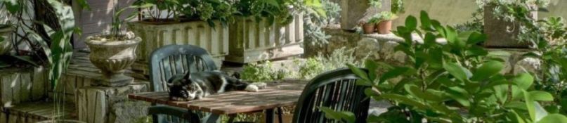 Ein grüner Garten zur Entspannung Ein grüner Garten zur Entspannung