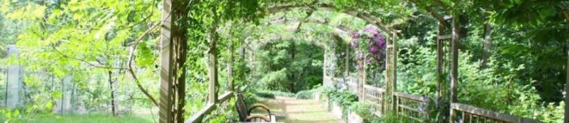 Pergolas: Vom Schattenspender zum Designerstück - So setzen Sie Akzente in Ihrem Garten Pergolas: Vom Schattenspender zum Designerstück - So setzen Sie Akzente in Ihrem Garten