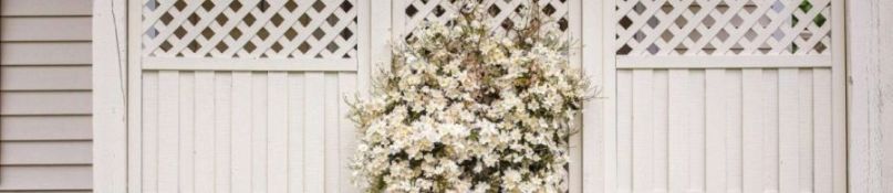 Zäune und Sichtschutz: Das müssen Gartenbesitzer wissen Zäune und Sichtschutz: Das müssen Gartenbesitzer wissen