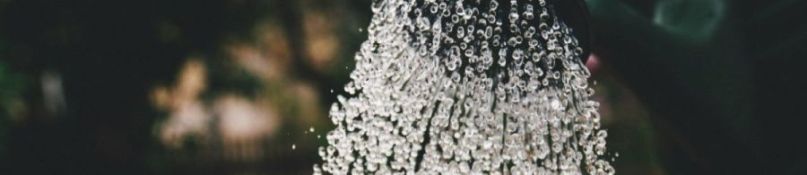 Zisternenbau im Garten: Das gilt es zu beachten! Zisternenbau im Garten: Das gilt es zu beachten!