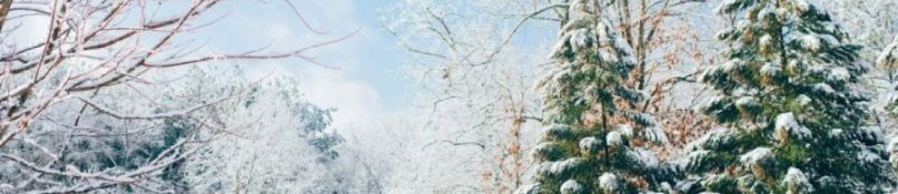 Die besten Tipps für die Vorbereitung auf den Winter: Sicherheit und Komfort im eigenen Zuhause Die besten Tipps für die Vorbereitung auf den Winter: Sicherheit und Komfort im eigenen Zuhause